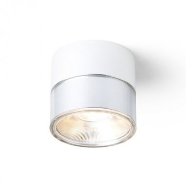 Stropní svítidlo  LED R14216-2