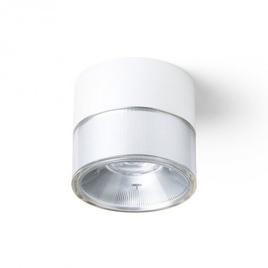 Stropní svítidlo  LED R14216