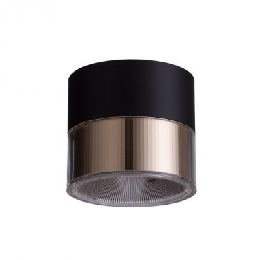 Stropní svítidlo  LED R14217-1