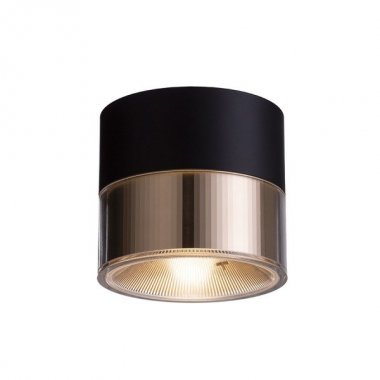 Stropní svítidlo  LED R14217