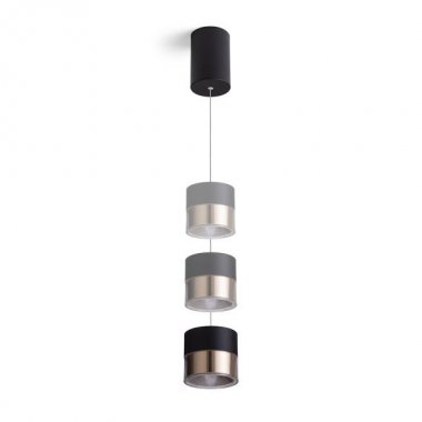 Lustr/závěsné svítidlo  LED R14219-2
