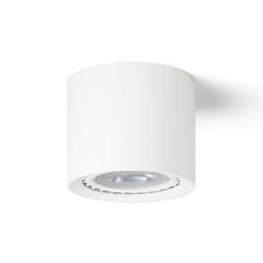 Stropní svítidlo R14220-1