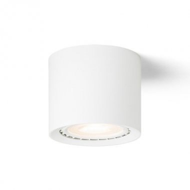 Stropní svítidlo R14220-2