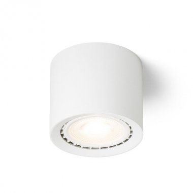 Stropní svítidlo R14220