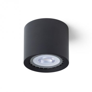Stropní svítidlo R14221-1