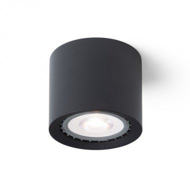 Stropní svítidlo R14221