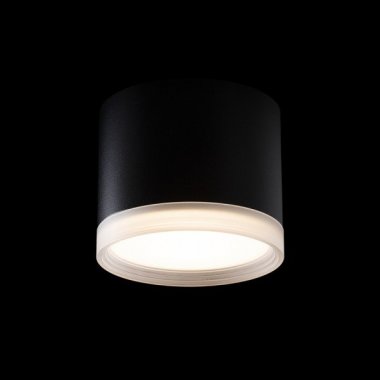 Stropní svítidlo  LED R14222-1