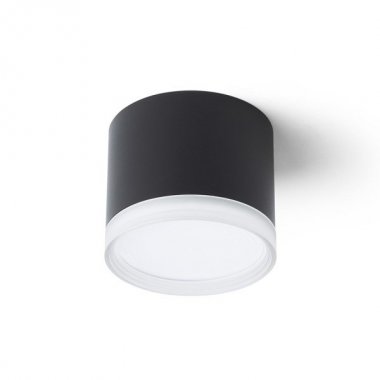 Stropní svítidlo  LED R14222-2
