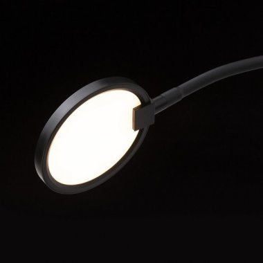 Nástěnné svítidlo  LED R14279-2