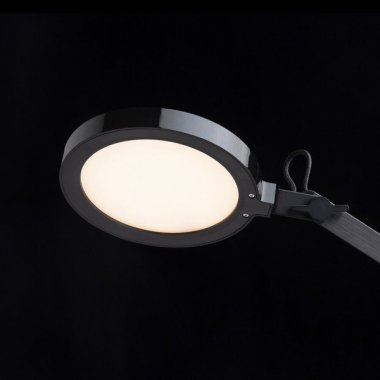 Pracovní lampička  LED R14289-2