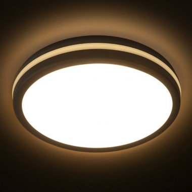 Nástěnné svítidlo  LED R14300-3