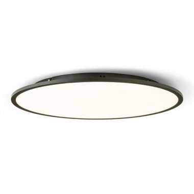Stropní svítidlo  LED R14311-1
