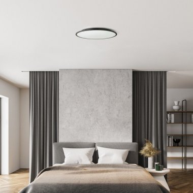 Stropní svítidlo  LED R14311-2