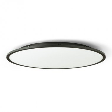 Stropní svítidlo  LED R14311-4