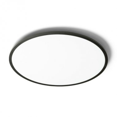 Stropní svítidlo  LED R14311