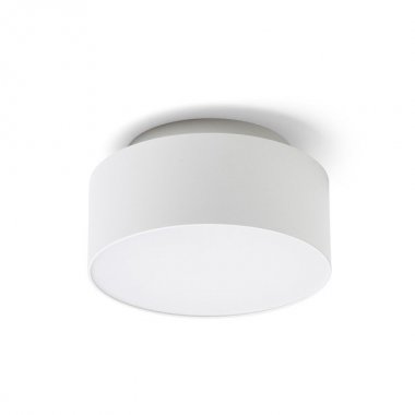 Stropní svítidlo  LED R14339-1