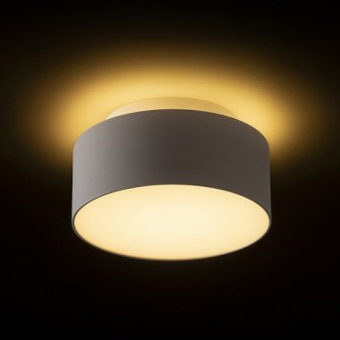 Stropní svítidlo  LED R14339-2