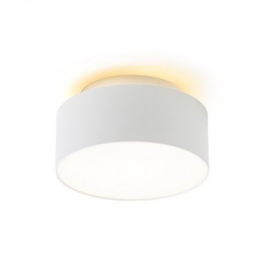 Stropní svítidlo  LED R14339