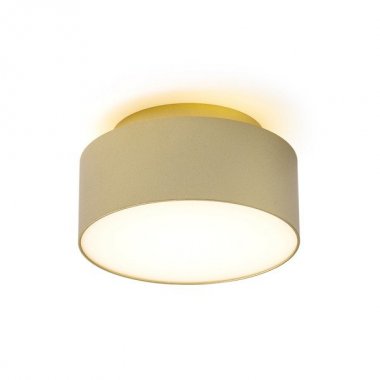 Stropní svítidlo  LED R14340-1