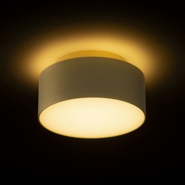 Stropní svítidlo  LED R14340-2