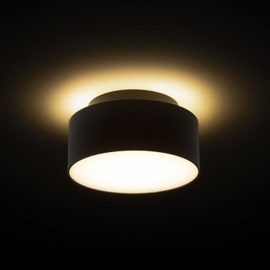 Stropní svítidlo  LED R14341-2