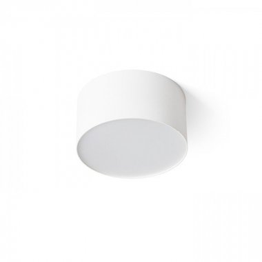 Stropní svítidlo  LED R14351-1