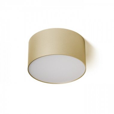 Stropní svítidlo  LED R14352-1