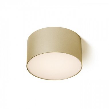 Stropní svítidlo  LED R14352