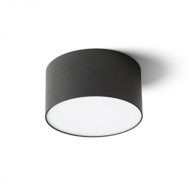 Stropní svítidlo  LED R14353-1