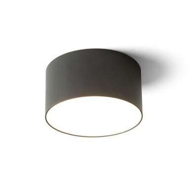 Stropní svítidlo  LED R14353