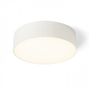 Stropní svítidlo  LED R14354