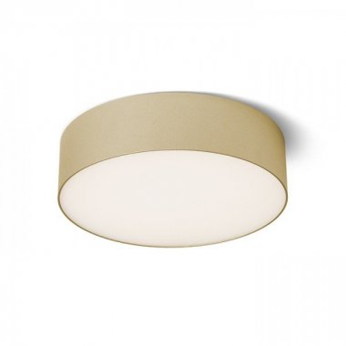 Stropní svítidlo  LED R14355