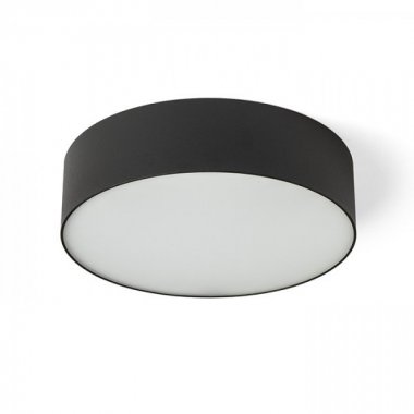 Stropní svítidlo  LED R14356-1