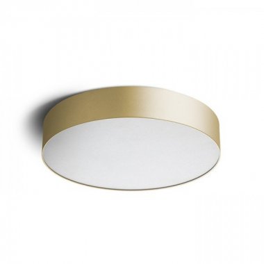 Stropní svítidlo  LED R14358-1