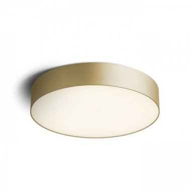 Stropní svítidlo  LED R14358
