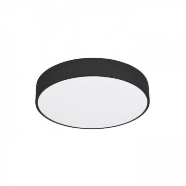 Stropní svítidlo  LED R14359