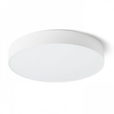 Stropní svítidlo  LED R14360-1