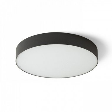 Stropní svítidlo  LED R14362-1