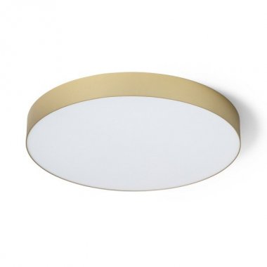 Stropní svítidlo  LED R14364-1
