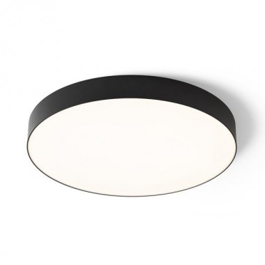 Stropní svítidlo  LED R14365-1