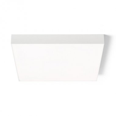 Stropní svítidlo  LED R14372-2