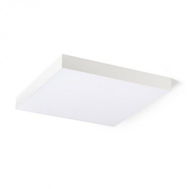 Stropní svítidlo  LED R14372