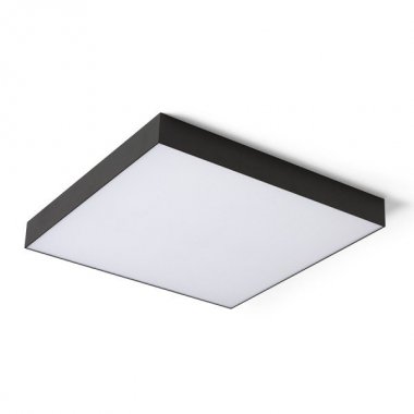 Stropní svítidlo  LED R14373