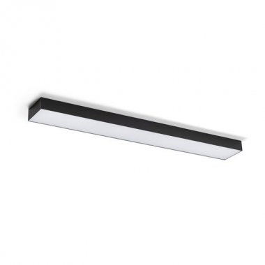 Stropní svítidlo  LED R14375-2