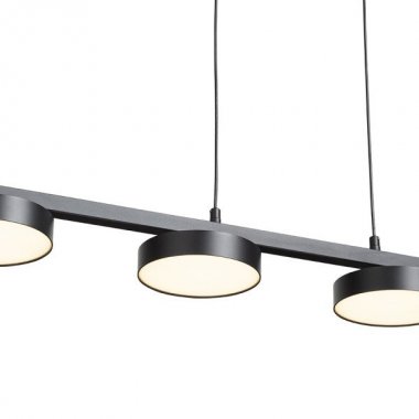 Lustr/závěsné svítidlo  LED R14424-1