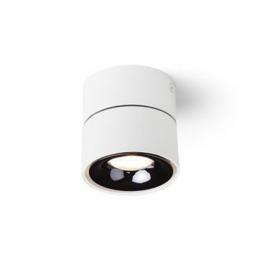 Stropní svítidlo  LED R14425-1