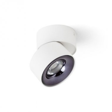 Stropní svítidlo  LED R14425-4