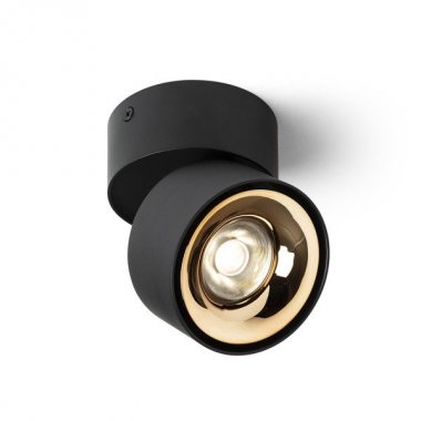 Stropní svítidlo  LED R14426