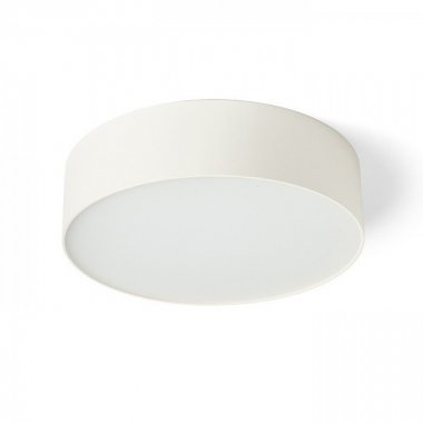 Stropní svítidlo  LED R14439-1