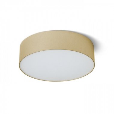 Stropní svítidlo  LED R14440-1